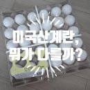 우리계란마트 | 미국산 계란 맛있을까? 롯데마트에서 한판에 5천원 계란, 직접 삶아서 국산 계란과 비교해봤습니다