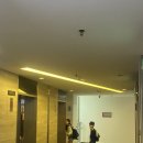 한달살기 생존영어 | 말레이시아 조호바루 한달살기/ SMIS 초등 영어캠프 후기