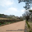 신숭겸장군유적지 이미지