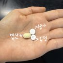 임신 초기 산전검사 후기｜영등포 보건소 무료검사부터 병원 추가검사까지