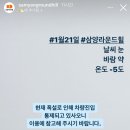삼영라운드힐 폭설로 삼양마트까지 진입한 후기