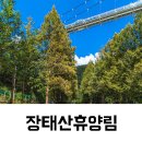 장태산휴양림 | 장태산 자연휴양림 계곡 주말 후기와 매점 둘러보기