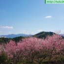 남송농원 이미지