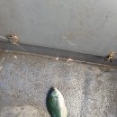 신원종합상사