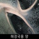 태성축산 이미지