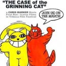 CAT 이미지