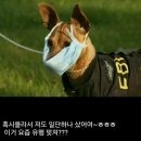 나도