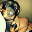 대전대흥초등학교 이미지