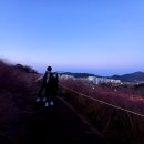 정읍사 문화공원 이미지