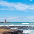 서쪽사계 이미지