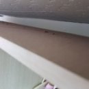 운남면복지회관 목욕탕 네이버블로그
