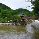 계곡이 있는 풍경 이미지