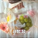 3014 | 대전 지족동 사랑:담 프리미엄 과일 선물 세트 프룻백 솔직 후기