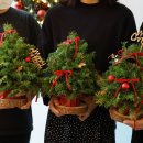 씨유 롯데캐슬4차점 | 금천구 꽃집 오후의 플로라에서 나만의 크리스마스트리 만들기