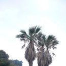 대륜동 법환포구 이미지