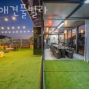 코지애견풀빌라