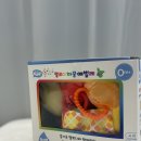 까꿍아기사랑 | 신생아선물 , 출산선물로 좋은 국민 장난감 키저스 멜로디 까꿍 애벌레 인형 후기
