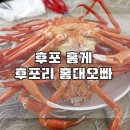 후포리홍대오빠
