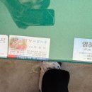 평창카센타 이미지