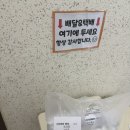 교동김밥 울산1호점 | 울산 화봉동 맛집 교동김밥 내돈내산 후기｜삼겹살·진미·치즈쭈꾸미김밥 추천