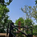 봉제산 등촌동 숲속놀이터 이미지