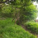 연학목장 이미지