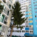 금곡주공4단지 이미지