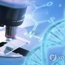 (주)알피바이오 이미지