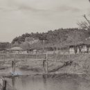 원대황토민박 이미지