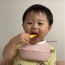 남원원예농업협동조합 | 국내산 아기 과일퓨레, 온리퓨레 감귤 솔직 후기, 자연 그대로의 과일맛, 온리퓨레 감귤