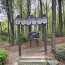 우면산유아숲체험장 네이버블로그