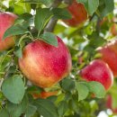 Best 휘트니스 센타 이미지