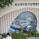 동강미용실