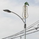 가로등