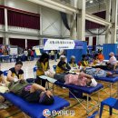 예산-52 충남신문