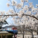 진해구 ⓒ-22 이미지