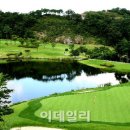 동양회원권거래소 이미지