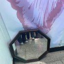 [호텔수선화] 힙지로 숨겨진 카페 수선화 근황 솔직후기