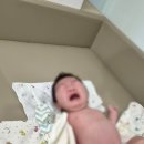 성북구보건소 | 성북구보건소 신생아 BCG 피내용 예방접종 후기