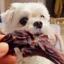 봉자쿠키 이미지