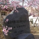 고향의 봄 이미지