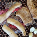 우아하게 돈쓰는날 이미지