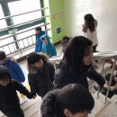 수리초등학교 이미지