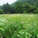 설악농장 이미지