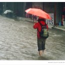 인도여행 - 비오는 날의 델리 - 이미지