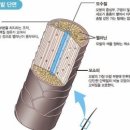 영 헤어아트 네이버블로그