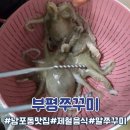 남포쭈꾸미 | [부산 남포] 부평쭈꾸미｜현지인 추천 알쭈꾸미샤브 내돈내먹 상세후기
