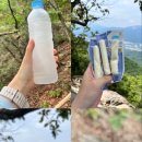 청학밧데리 이미지