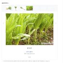 셀터스