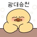 도디팩토리
